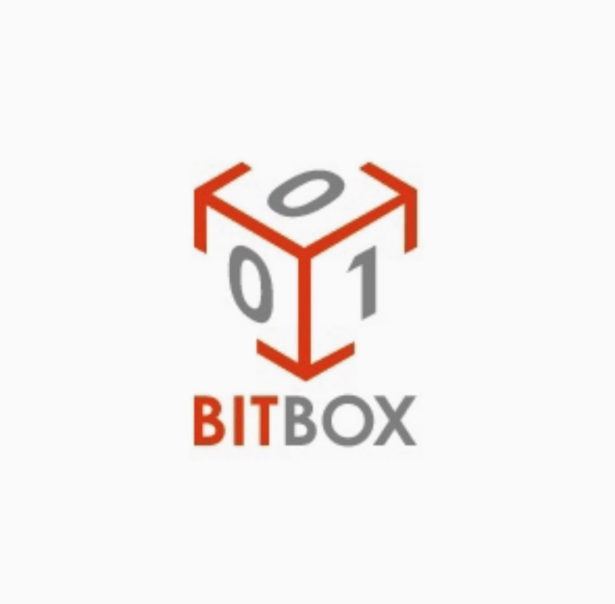Bitbox Dongle & Bitbox Module for Module Ford Bosch MG1 Gen1 Work with Scanmatik 2 PRO SM2 Pro SM3 PRO Programmer