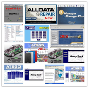 ALL Auto Repair Software Including ALLDATA/Mitchell/Autodata/ WorkShop Vivid/ELSA Etc In 1000G HDD