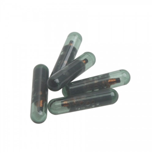 ID13 Glass Transponder Chip for GM 10pcs/lot