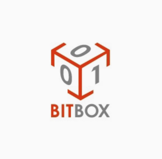 Bitbox Dongle & Bitbox Module China Delphi Petrol