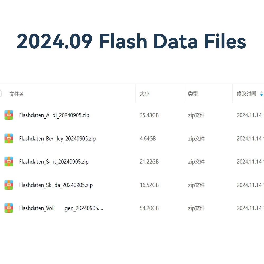 2024.09 Latest Flashdaten ECU Firmware Flash Data Files For VW for AUDI for SEAT for SKODA