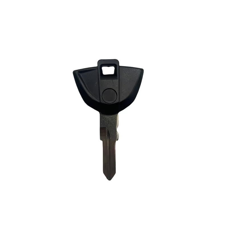 BMW G310GS G310R 310R C600 Sport C650GT Blank Key Motorcycle Replace Uncut Keys can be placed anti-theft chip original key